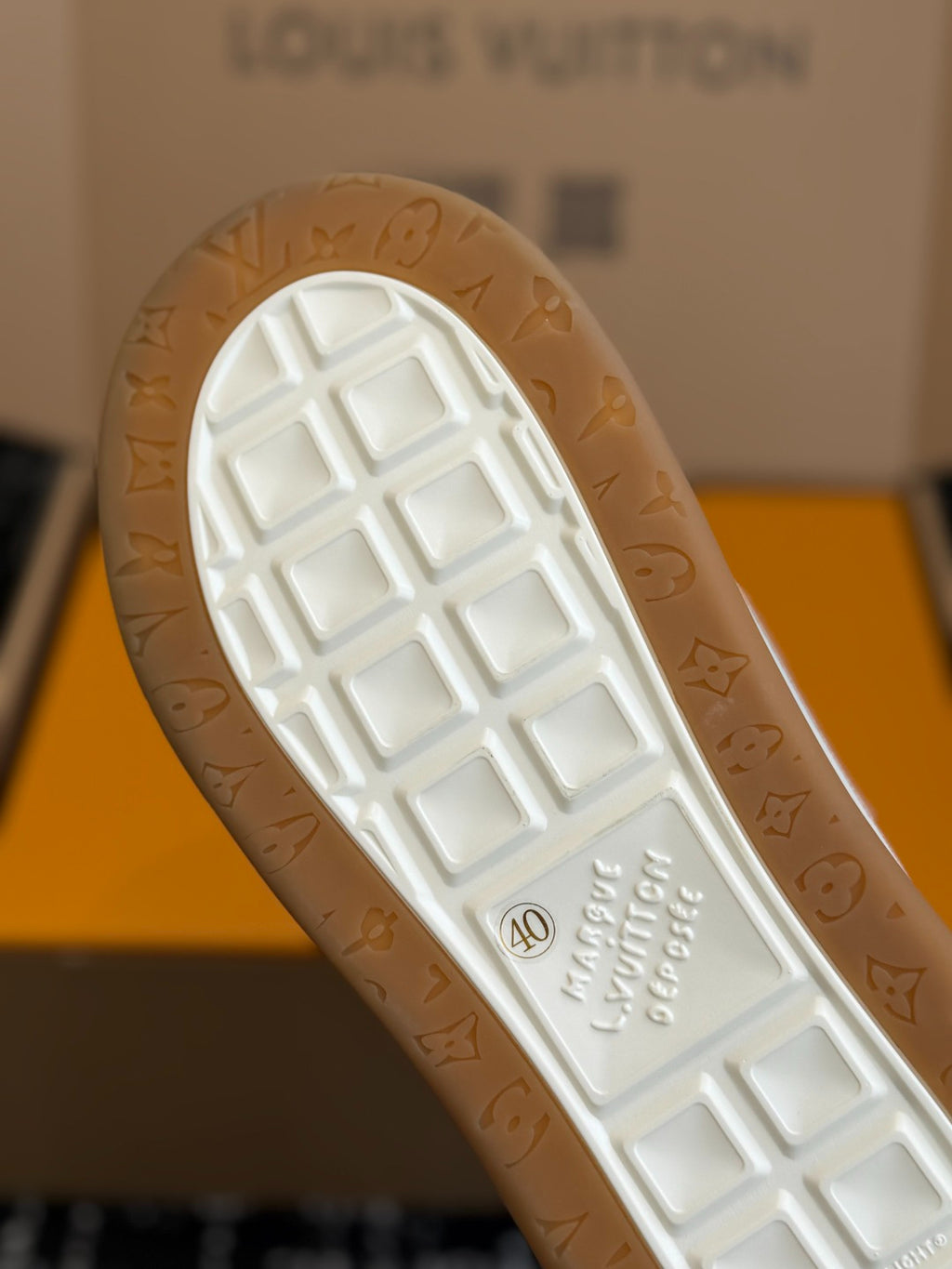Louis Vuitton LV Tilted Sneaker (Blue Check Wool)