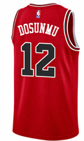 Youth Chicago Bulls Ayo Dosunmu Red Nike Swingman Icon Jersey