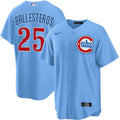 Youth Chicago Cubs Moisés Ballesteros Alternate 2 NIKE Baseline Powder Blue Replica Jersey