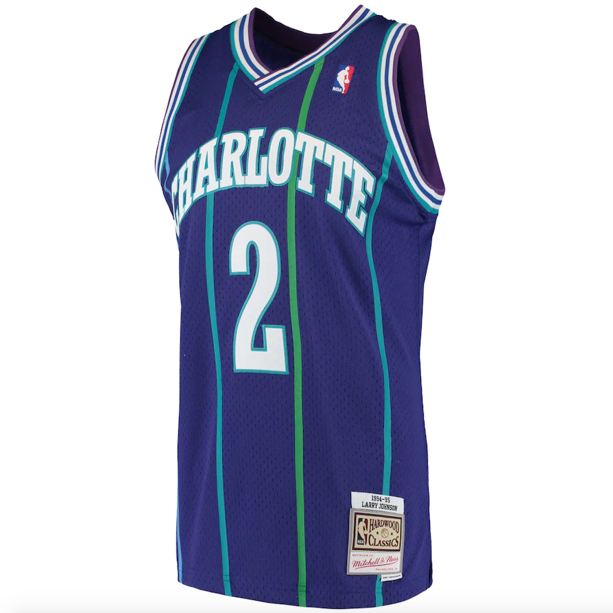 Men's Larry Johnson Charlotte Hornets 1994-95 Purple Swingman Replica Jersey By Mitchell & Ness