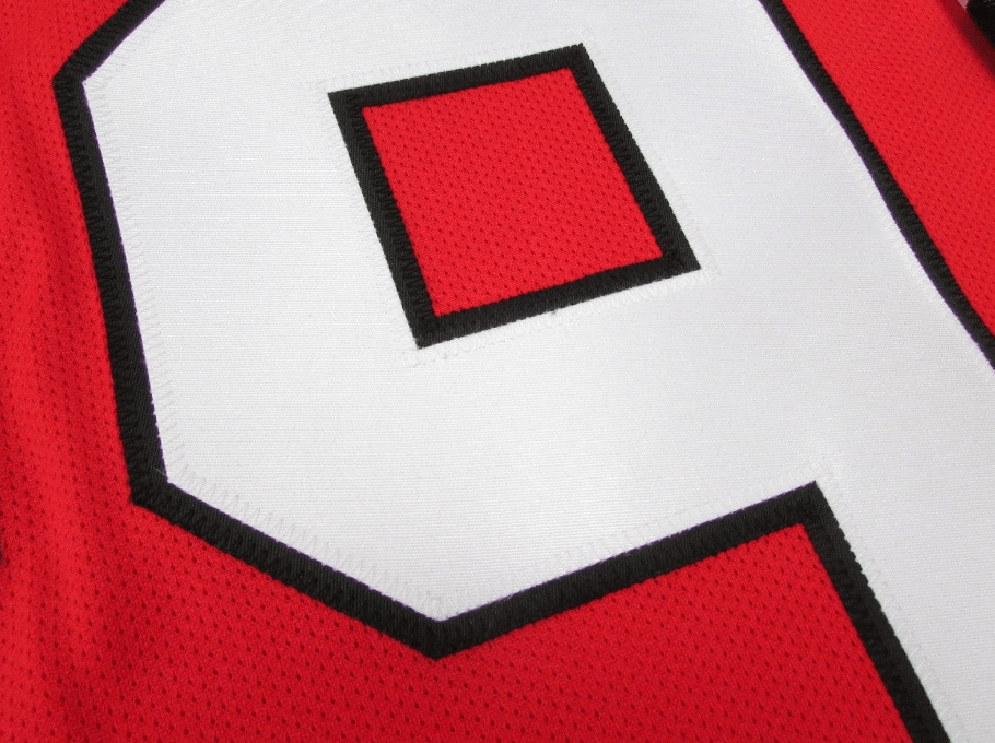 Corey Crawford Rockford Icehogs Premier Replica Red Jersey