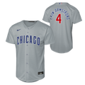 NIKE Youth Chicago Cubs Pete Crow-Armstrong Road Grey Baseline Replica Jersey