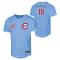 Youth Chicago Cubs Shota Imanaga Alternate 2 NIKE Homerun Powder Blue Replica Jersey
