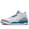 Air Jordan 3 Retro 'Wizards'
